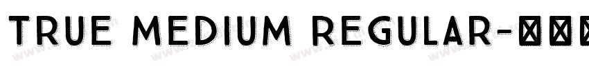 True Medium Regular字体转换